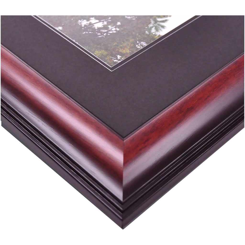 Diploma Frame I866