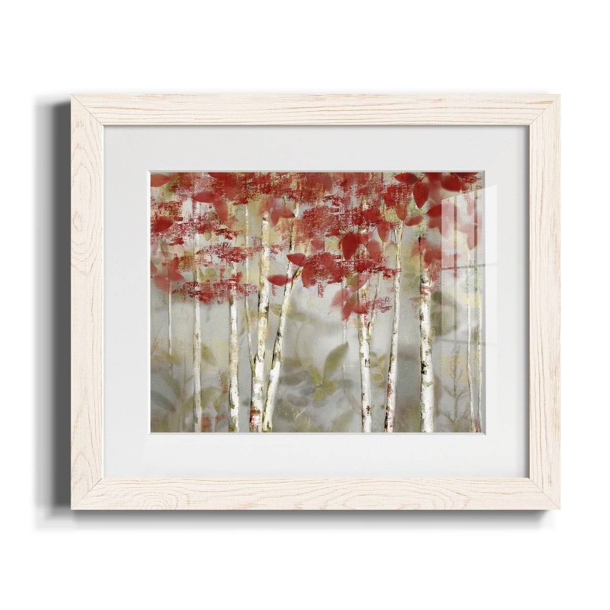 Framed Canvas - 20x24 B243