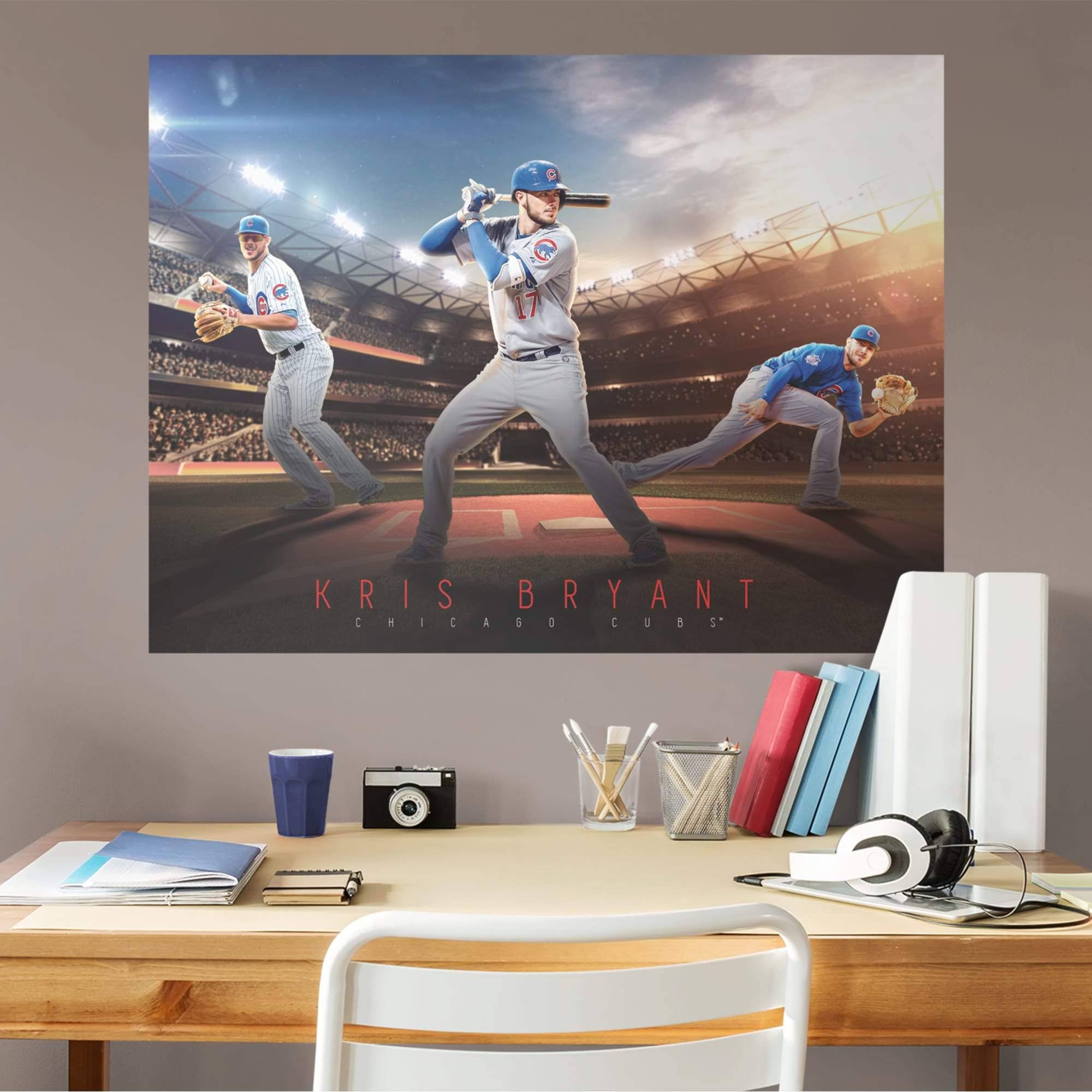 Giant Removable Wall Mural E2046