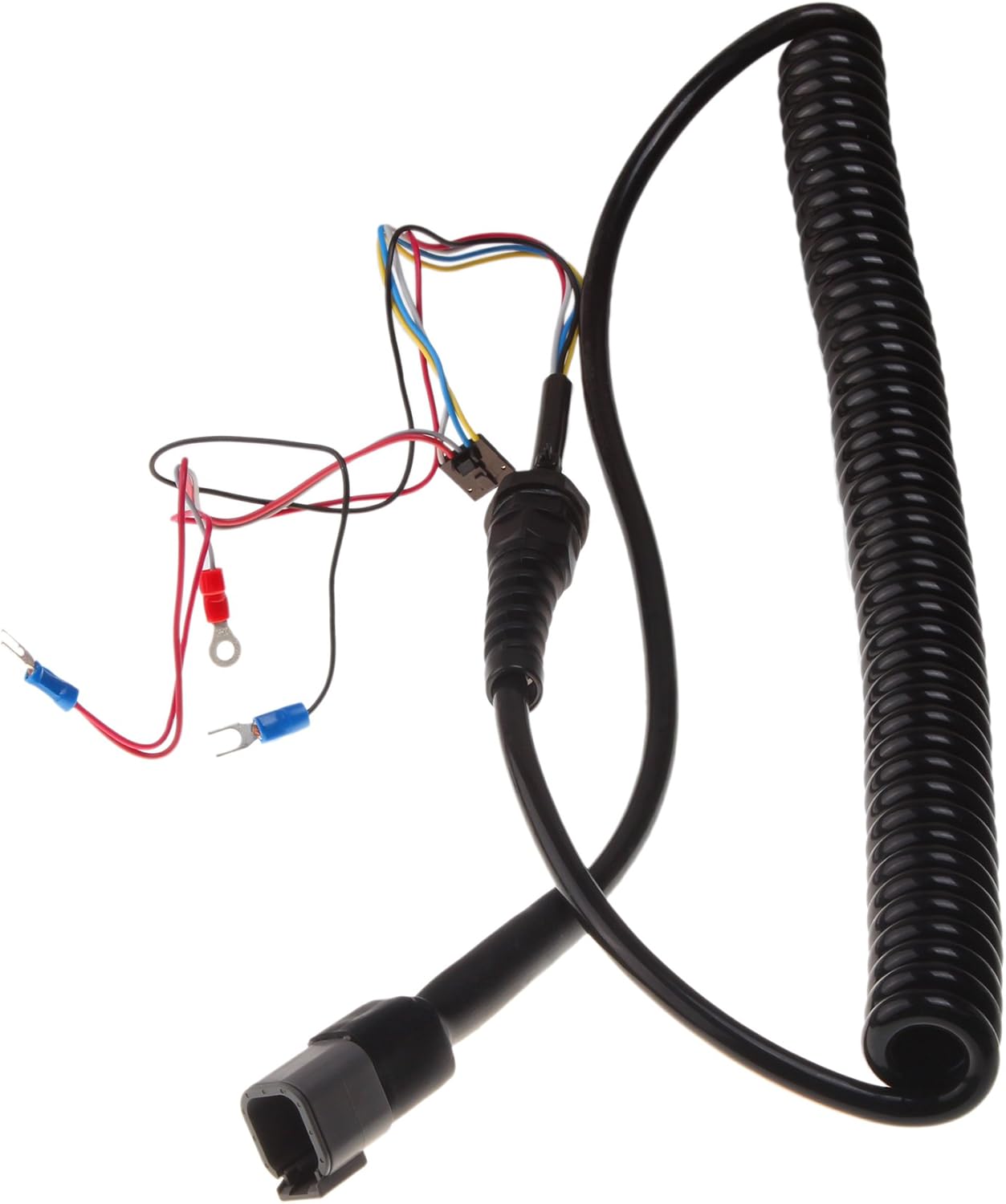 Coil Cord Pack of 2 S566