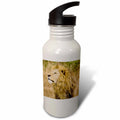 21 oz Sports Water Bottle A668360