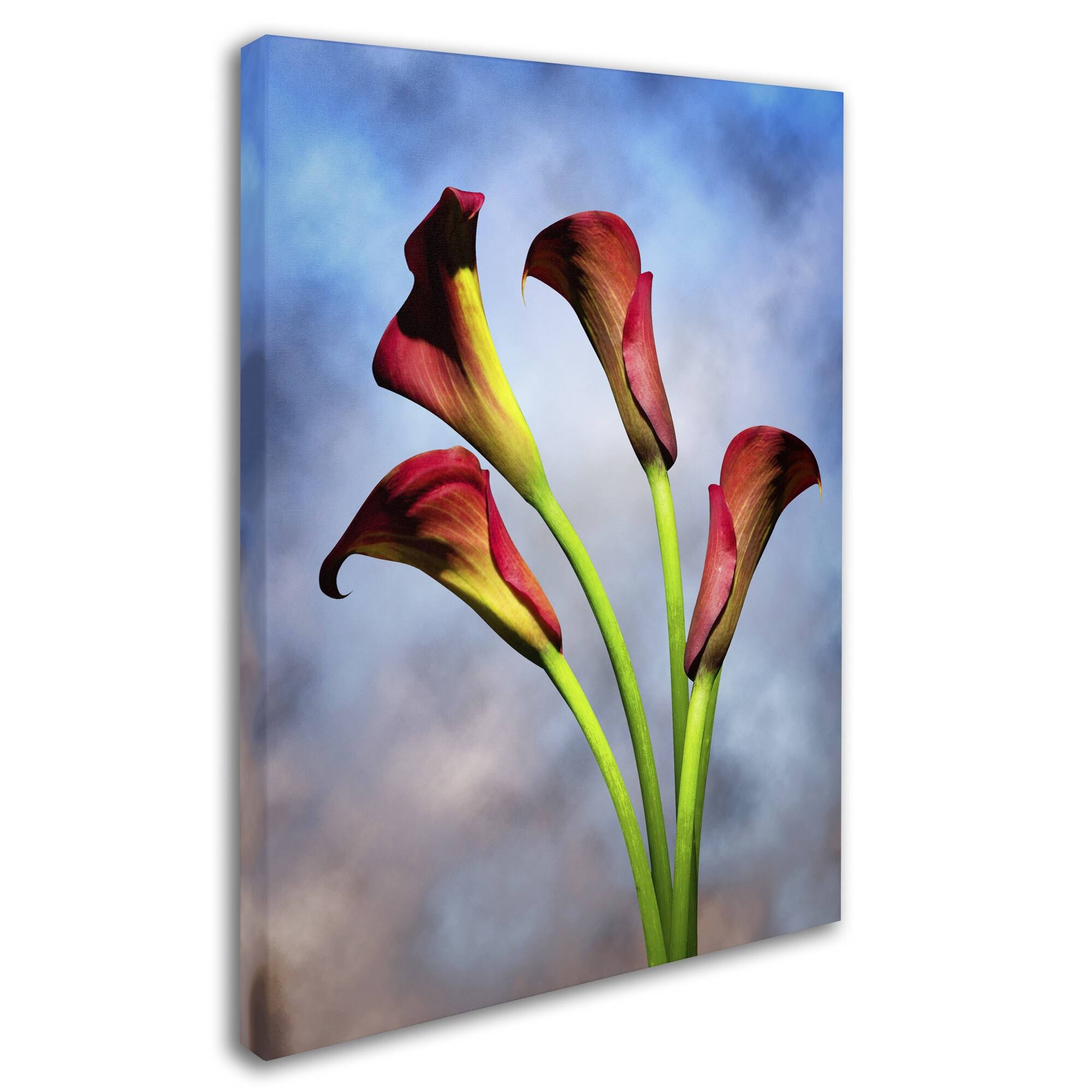 Canvas T20070