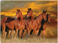 32x24 Canvas Art X297421