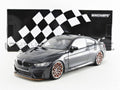 Grey Metallic M4 GTS C5549