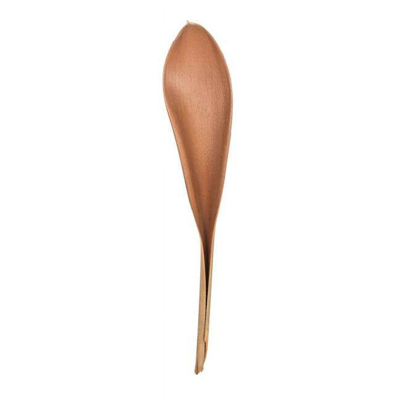 Natural Palm Paddles Tree G672