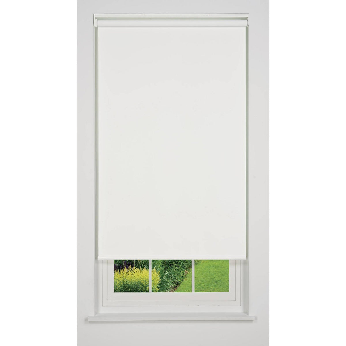 White 48 W x 78 H Cordless Blackout Roller Shade M633791