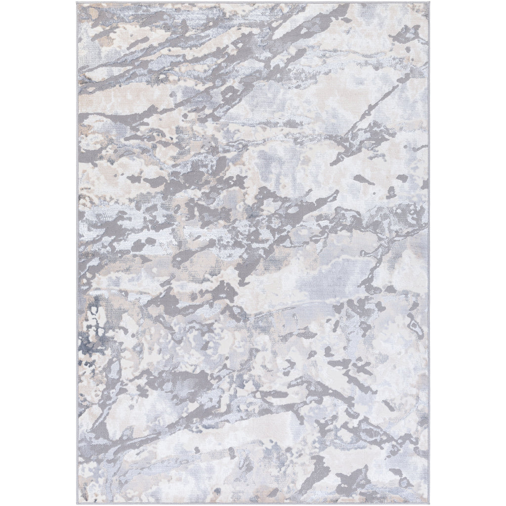 Gray 6'7" x 9'2" Rectangle Area Rug R24760