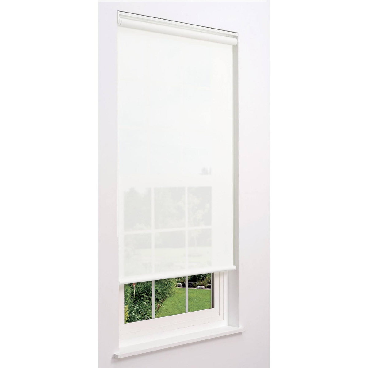 White 51 W x 78 H Cordless Roller Shade W221068