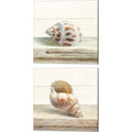 Canvas Art (Set of 2) J24746