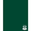 Evergreen Seamless Background Paper Z849161