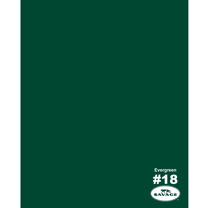 Evergreen Seamless Background Paper Z849161