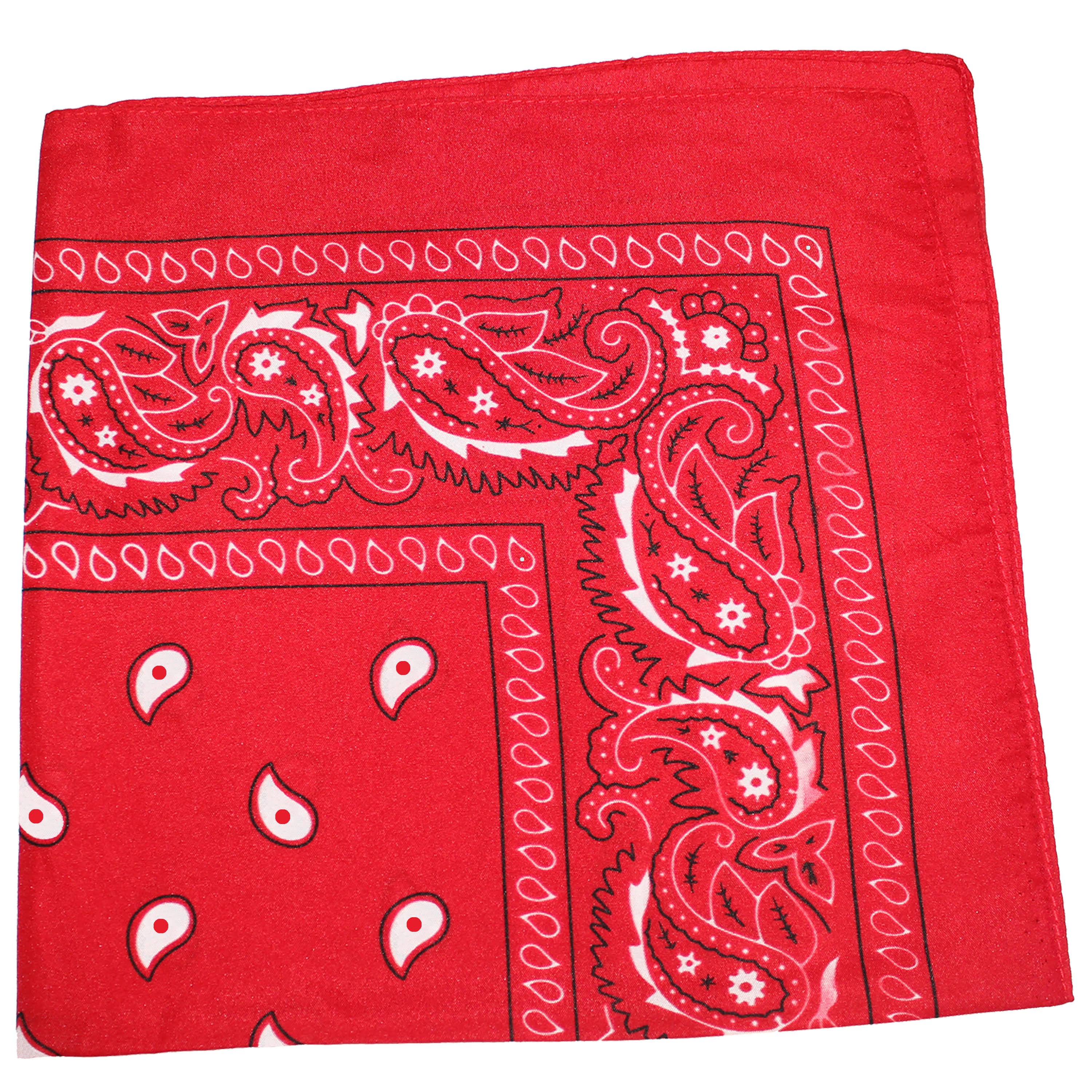 Set of 240 Paisley 100% Polyester Double Sided Bandanas Q6179