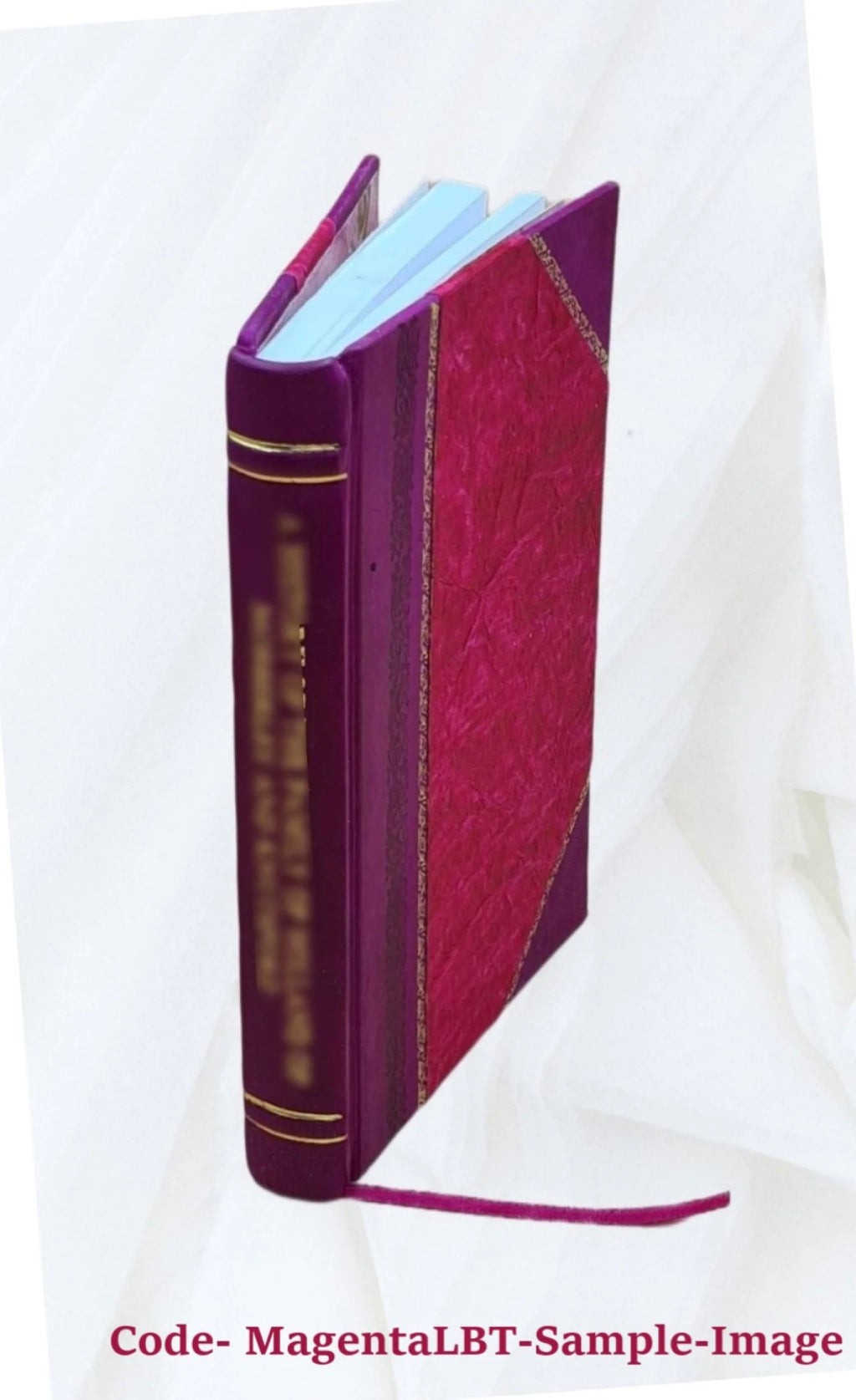 Leather Bound Book Z6245