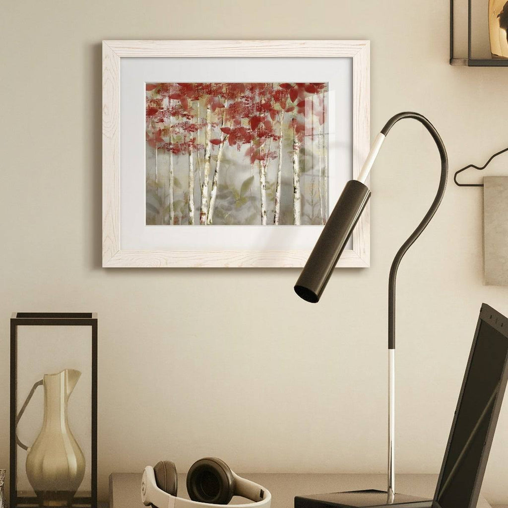 Framed Canvas - 20x24 B243