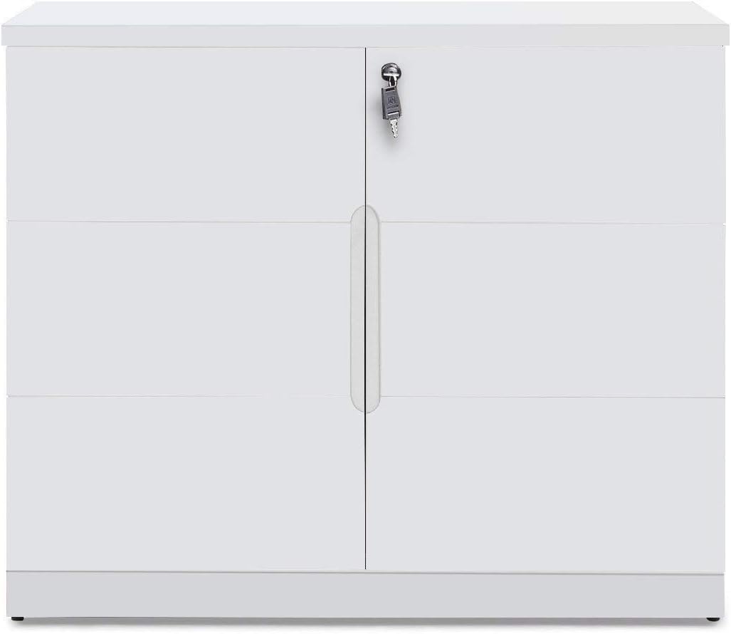 White 2 Door Storage Cabinet with Glass Doors U849