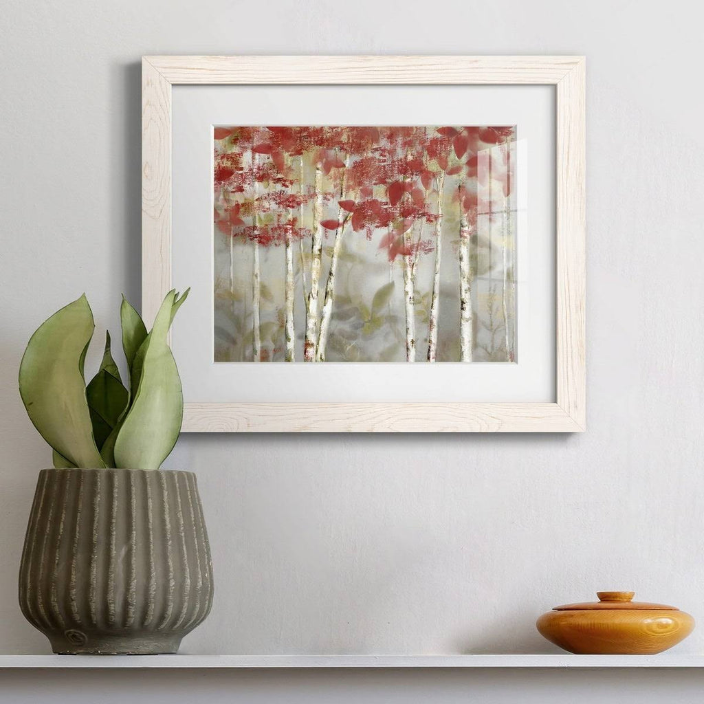 Framed Canvas - 20x24 B243