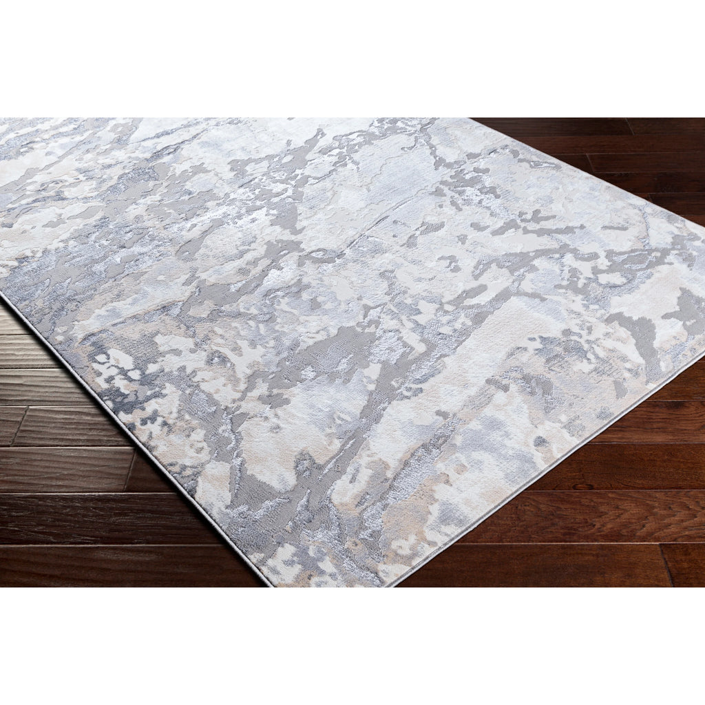 Gray 6'7" x 9'2" Rectangle Area Rug R24760