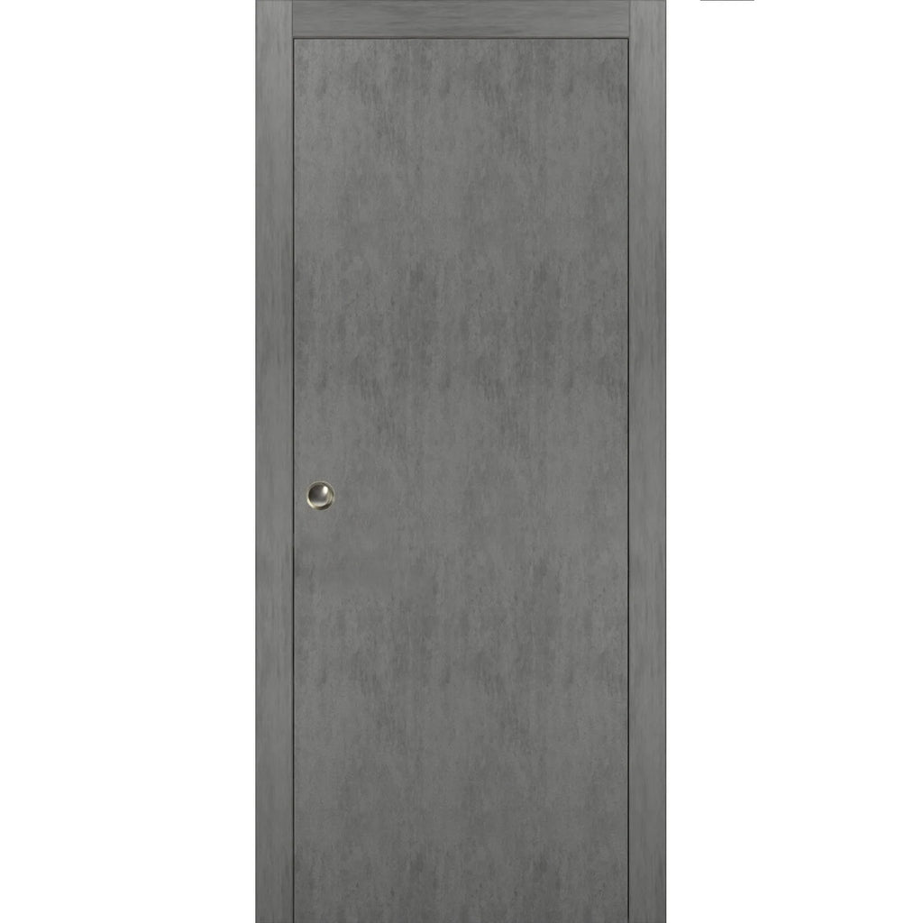 Solid Wood Sliding French Pocket Door 32 x 84 inches with Kit Trims Rail Hardware T696282