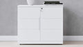 White 2 Door Storage Cabinet with Glass Doors U849