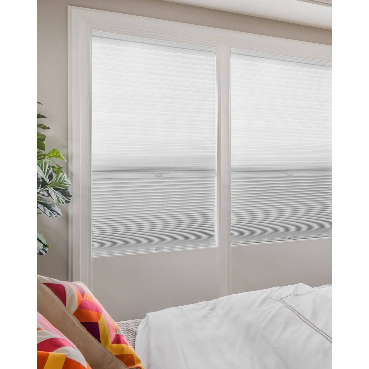 Cordless Cellular Shades I30402