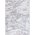 Gray 6'7" x 9'2" Rectangle Area Rug R24760
