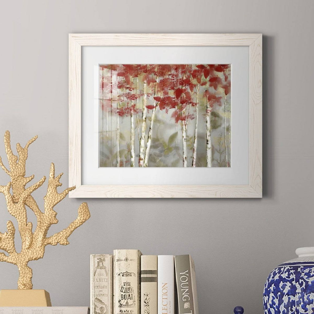 Framed Canvas - 20x24 B243