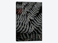 Canvas Art Wall Decor Y401