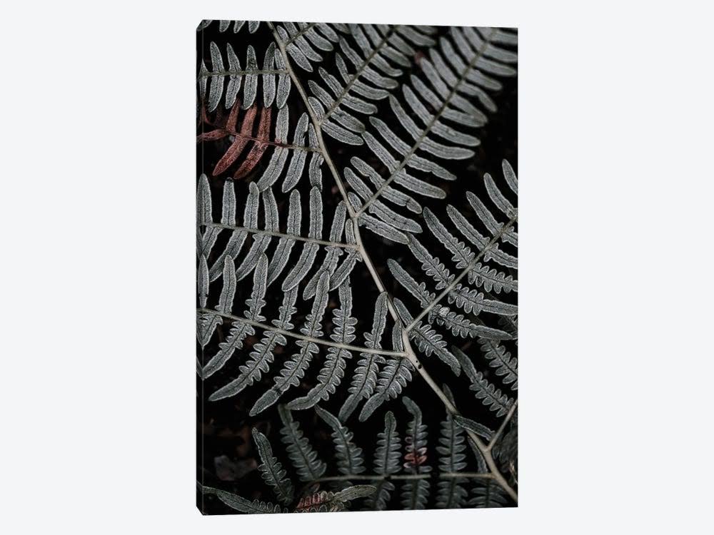 Canvas Art Wall Decor Y401