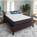 Twin Plush Faux Euro Top Mattress Set with 5 in. Low Profile Foundation N709308