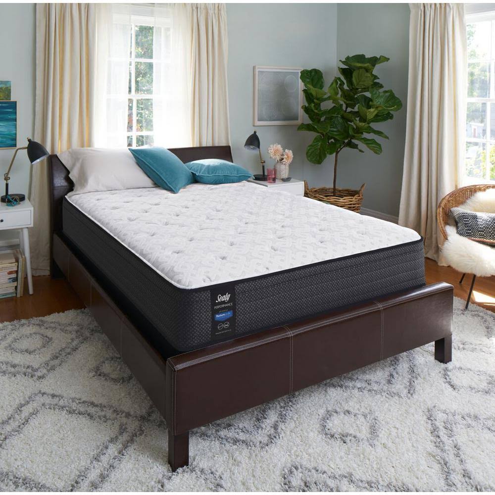Twin Plush Faux Euro Top Mattress Set with 5 in. Low Profile Foundation N709308