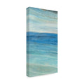 Canvas Art 24x47 Q243