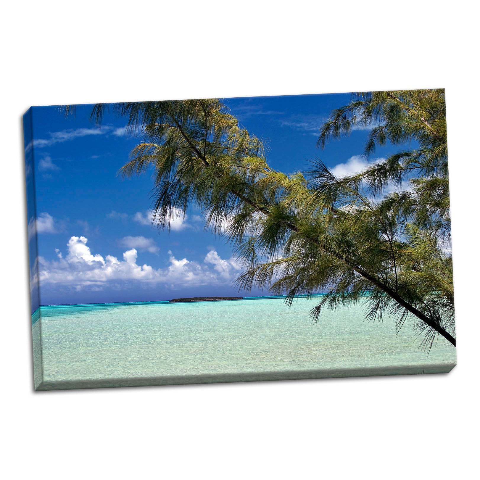 36x24in Hand-Stretched Canvas H9561