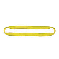 2 Ply 6x22 x 9& Endless Polyester Web Sling S6948