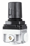 3/4in NPT Air Regulator, 220 psi F50101
