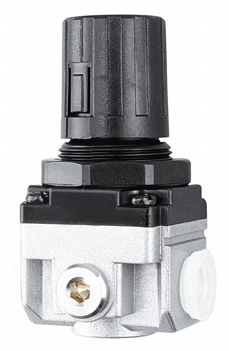 3/4in NPT Air Regulator, 220 psi F50101