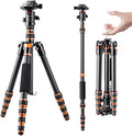 61 inch Carbon Fiber Camera Tripod with 360 Degree Ball Head Q485
