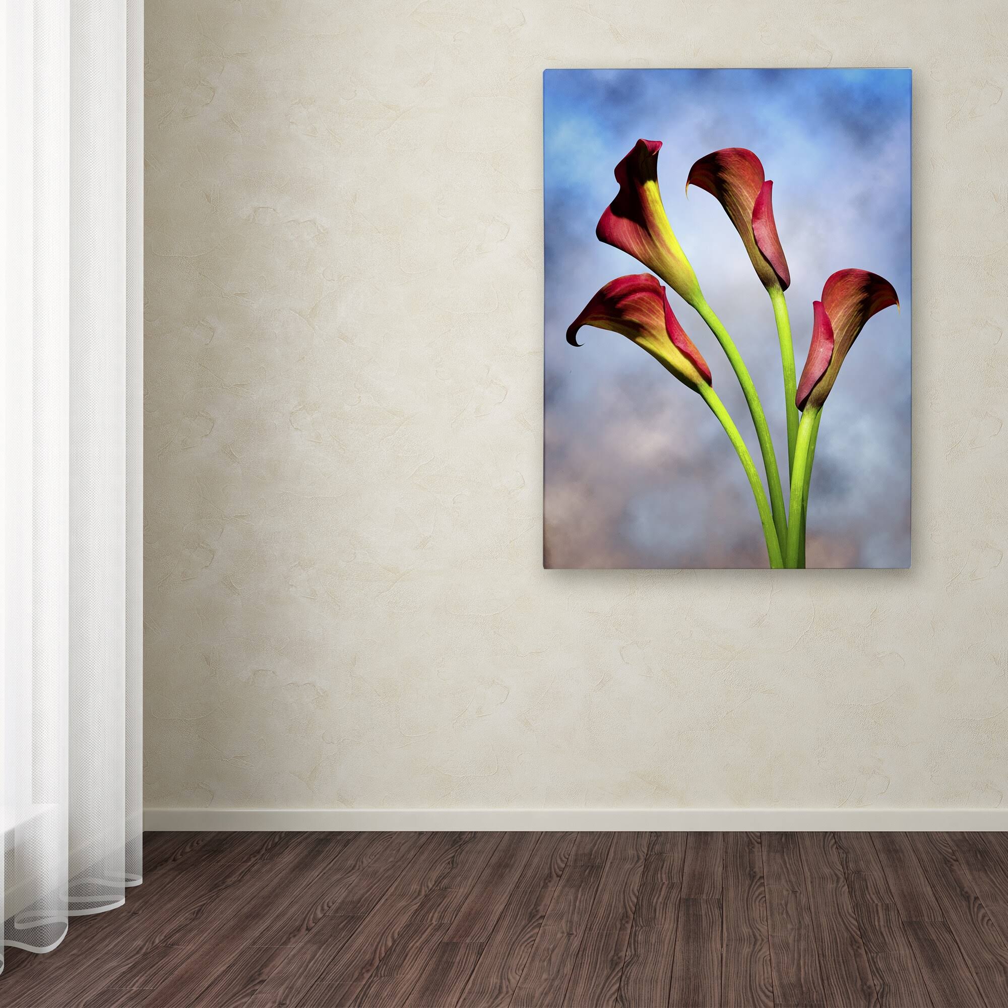 Canvas T20070