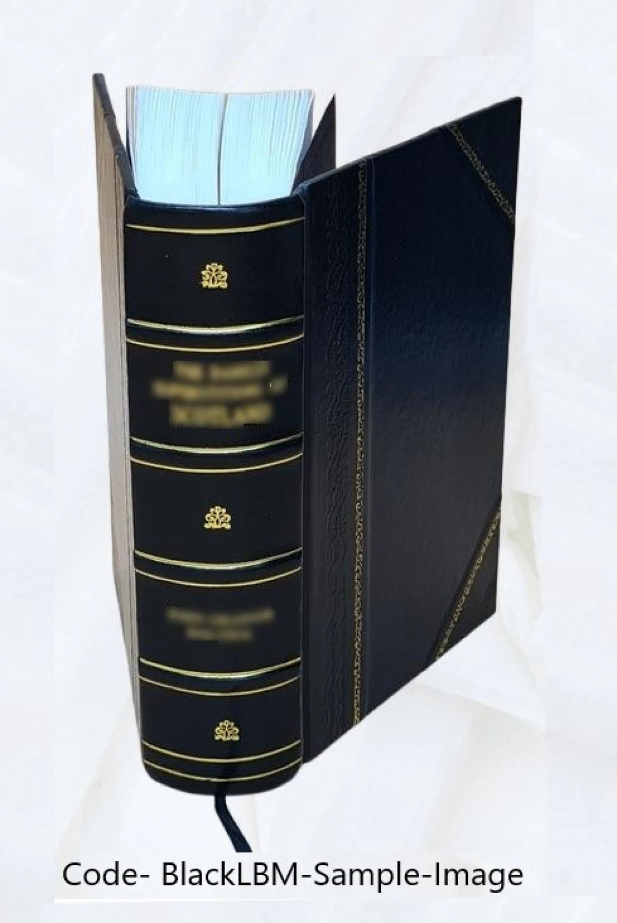 Leather Bound Poetry Book S30589