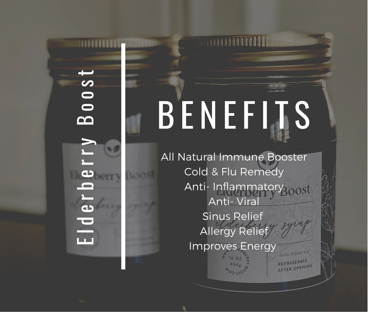 Elderberry Syrup 16 fl oz R5673