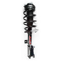 Shock Absorber and Strut Assembly T43246