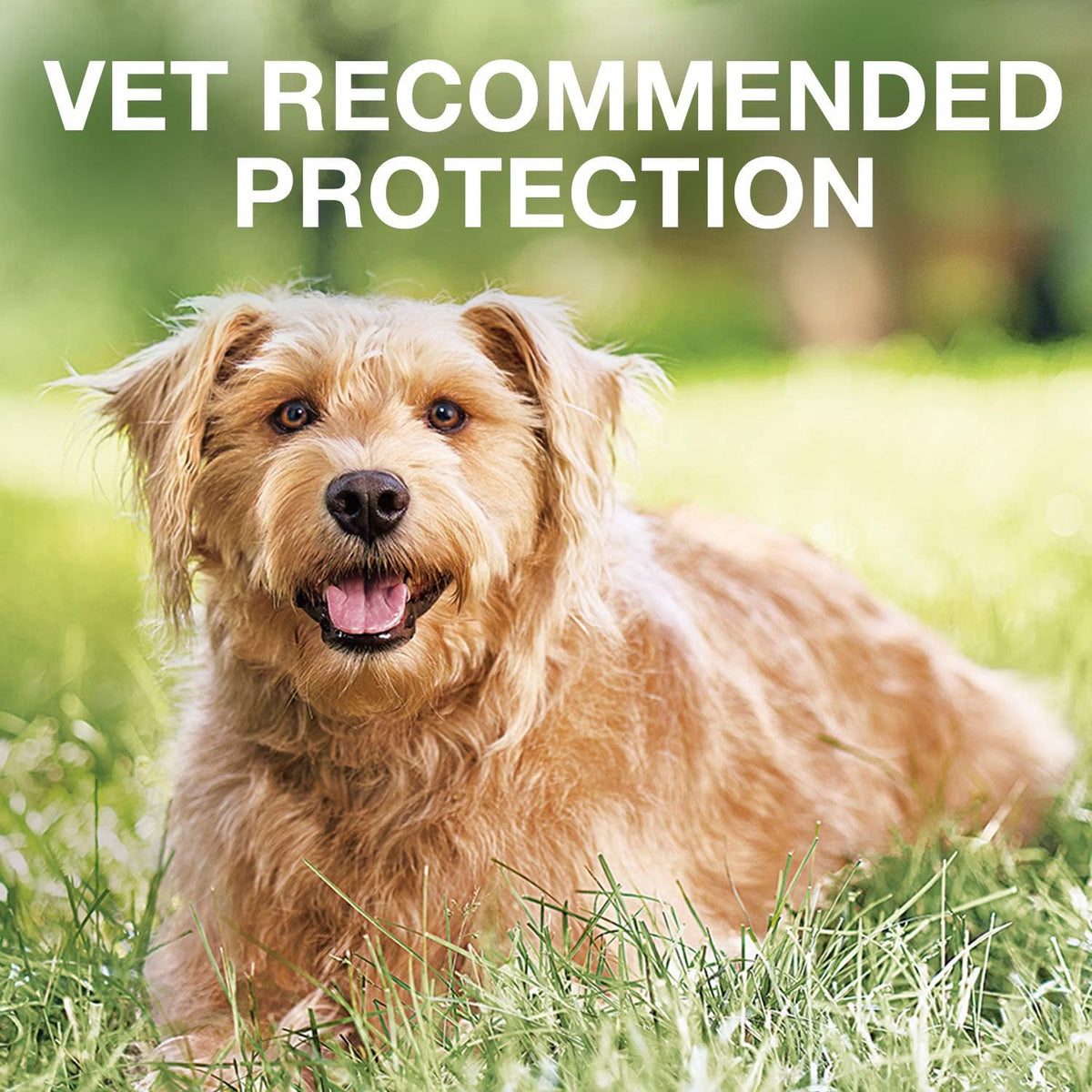 K9 Advantix II Flea and Tick Prevention for Large Dogs 4-Pack W2902