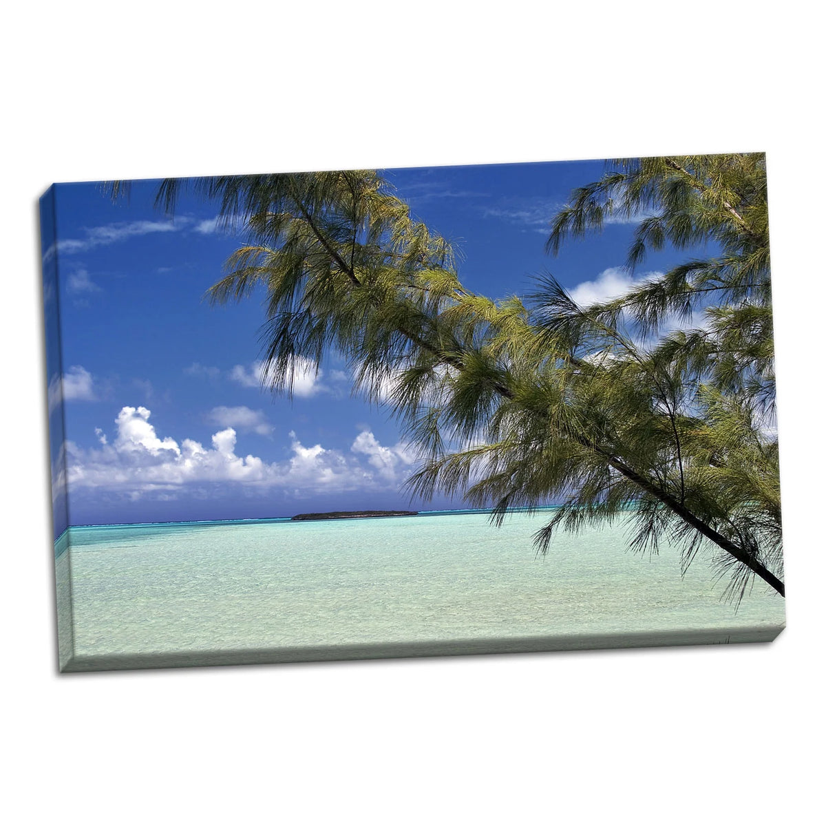 36x24in Hand-Stretched Canvas H9561