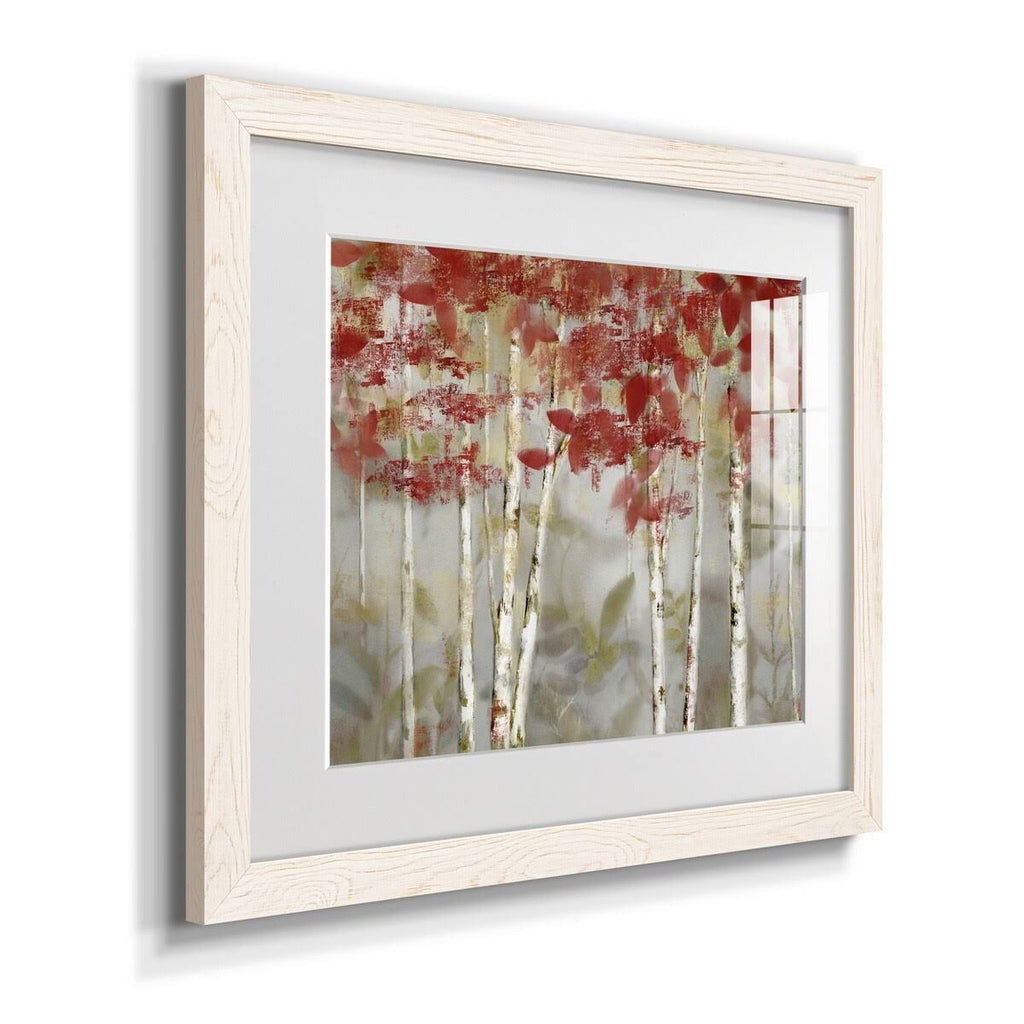 Framed Canvas - 20x24 B243