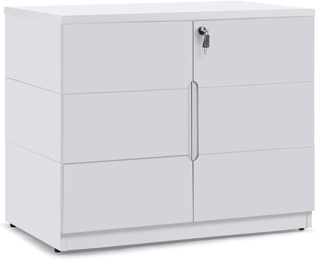 White 2 Door Storage Cabinet with Glass Doors U849