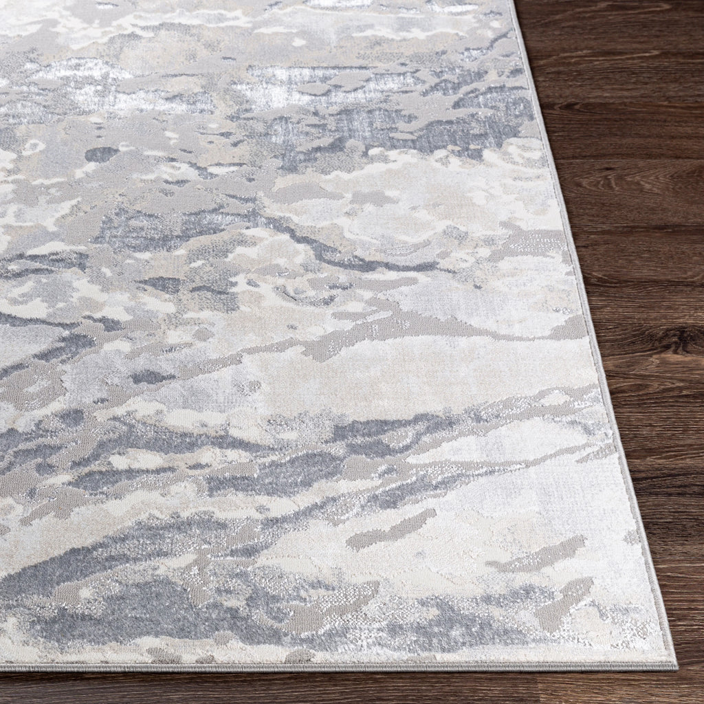 Gray 6'7" x 9'2" Rectangle Area Rug R24760