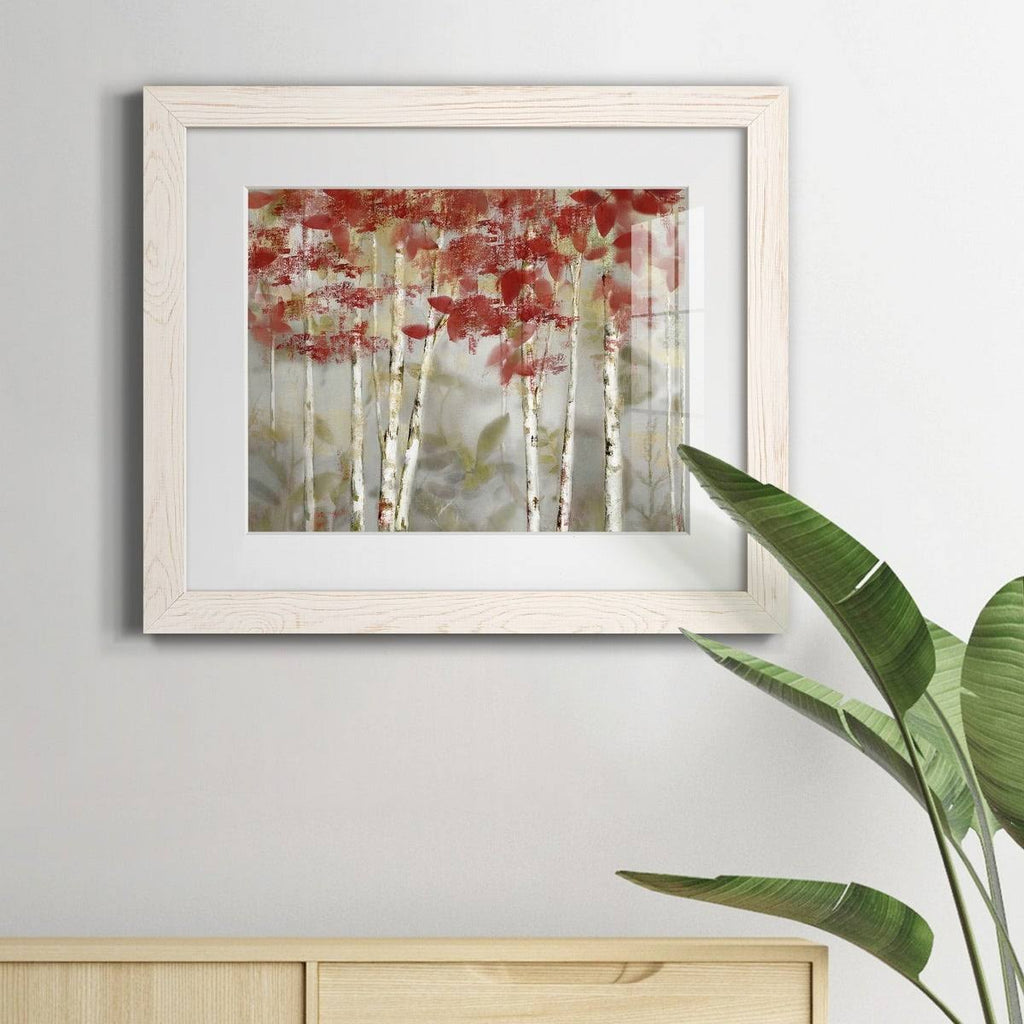 Framed Canvas - 20x24 B243