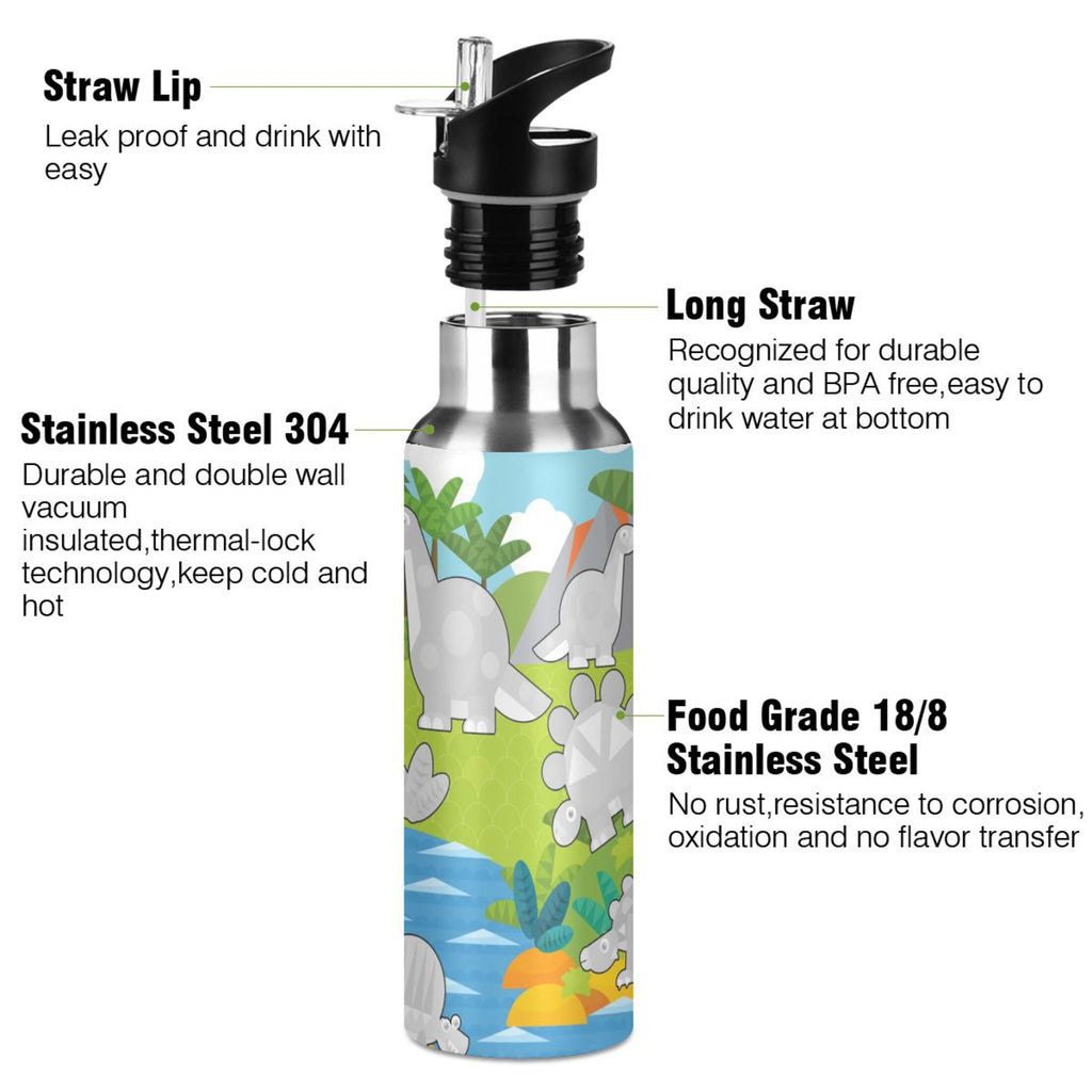 Gray Dinosaurs Stainless Steel Water Bottle with Straw Lid 20 OZ C742124
