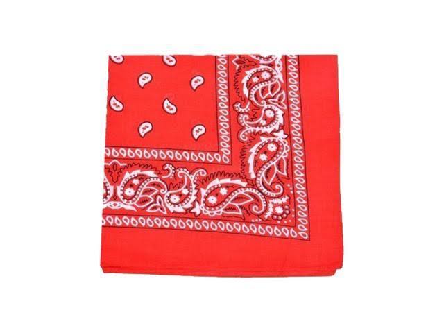 Set of 240 Paisley 100% Polyester Double Sided Bandanas Q6179