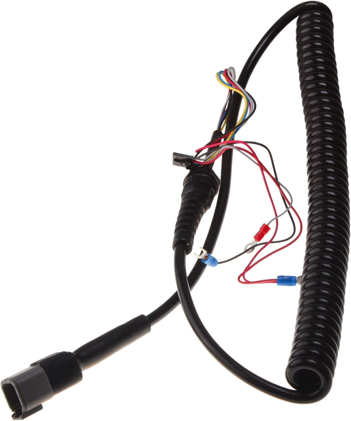 Coil Cord Pack of 2 S566