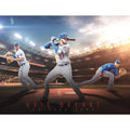 Giant Removable Wall Mural E2046
